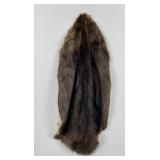 Montana Beaver Fur Pelt Taxidermy