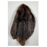 Montana Beaver Fur Pelt Taxidermy