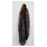 Montana Beaver Fur Pelt Taxidermy #12