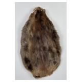 Montana Beaver Fur Pelt Taxidermy