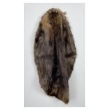 Montana Beaver Fur Pelt Taxidermy