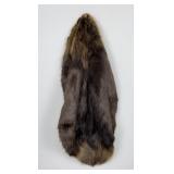 Montana Beaver Fur Pelt Taxidermy