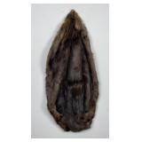 Montana Beaver Fur Pelt Taxidermy