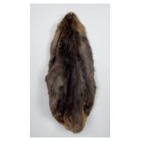 Montana Beaver Fur Pelt Taxidermy