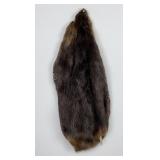 Montana Beaver Fur Pelt Taxidermy