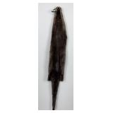 Ohio Taxidermy Otter Hide Pelt Fur
