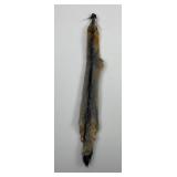 Beautiful Gray Fox Fur Pelt Taxidermy