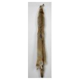 Very Nice Montana Taxidermy Coyote Pelt