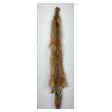 Very Nice Montana Taxidermy Coyote Pelt