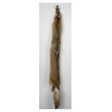 Very Nice Montana Taxidermy Coyote Pelt