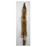 Very Nice Montana Taxidermy Coyote Pelt