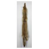 Very Nice Montana Taxidermy Coyote Pelt