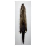Beautiful Wild Fisher Fur Pelt Taxidermy