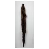 Beautiful Wild Fisher Fur Pelt Taxidermy