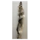 Huge Arctic Wolf Taxidermy Tanned Hide