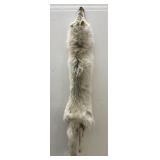 Huge Arctic Wolf Taxidermy Tanned Hide