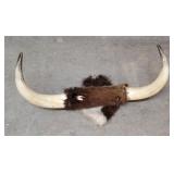 Montana Ranch Steer Horns
