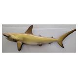 Hammerhead Shark Taxidermy Wall Mount