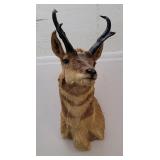 Large Montana Taxidermy Antelope Wall Mount
