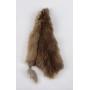 Montana Muskrat Taxidermy Fur Pelt Hide