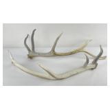 Pair of Montana Elk Horn Sheds