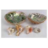 Lot of Abalone and Sea Shells