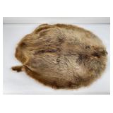 Montana Taxidermy Beaver Fur Pelt