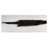 Ohio Taxidermy Otter Hide Pelt Fur