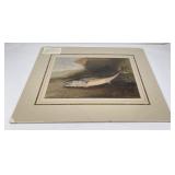 Samuel Kilbourne American Game Fish Lithograph