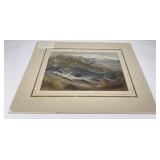 Samuel Kilbourne American Game Fish Lithograph