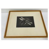 Mid Century Engraving of Dragonfly