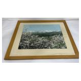 Ernst Peterson Orchards Hamilton Montana Photo