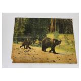 Haynes Giant Post Card Yellowstone Park