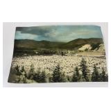 Antique Libby Montana Mill Photo