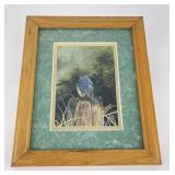 Signed and Numbered Bluebird Print