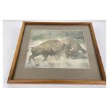 Harley Hettick Montana Buffalo Fighting Photo