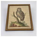George Edwards Delin Owl Print