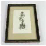 Kenji Ushiku Japanese Woodblock Print Engraving