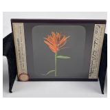Indian Paint Brush Montana Magic Lantern Slide