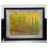 Lolo Montana National Forest Magic Lantern Slide