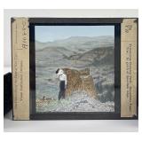 Yellowstone Park Fossil Tree Magic Lantern Slide