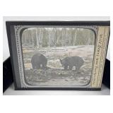 Yellowstone Park Bears Magic Lantern Slide
