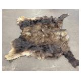 Large Taxidermy Montana Moose Hide Leather