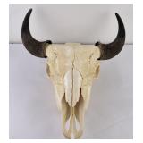 Nice Large Montana Buffalo Skull