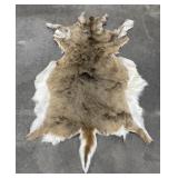 Montana Whitetail Deer Leather Hide