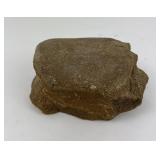 Fossil Dinosaur Vertebrae Bone