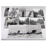 Bill Gabriel National Audubon Society Photos