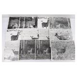 Bill Gabriel National Audubon Society Photos
