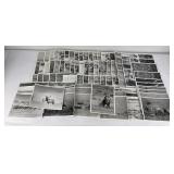 Bill Gabriel National Audubon Society Photos #6