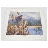 Joe Thronbrugh Signs of Spring Duck Print